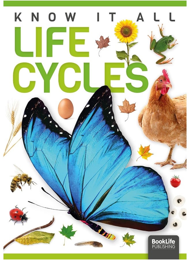 Life Cycles  - Image 2
