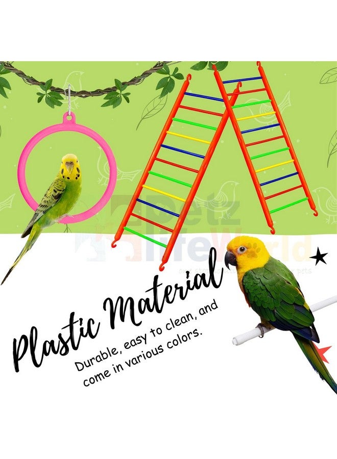 VAYINATO (3 Pcs) Bird Cage Hanging Toys, (2 Pcs Ring + 1 Pcs Ladder) Combo For Cockatiel, Love Bird, Budgie, Finches, Macaws, Conures, Sparrow | Safe And Durable By Petzlifeworld - Image 3