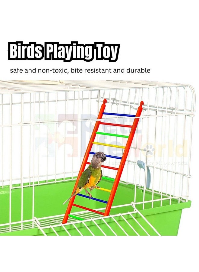 VAYINATO (3 Pcs) Bird Cage Hanging Toys, (2 Pcs Ring + 1 Pcs Ladder) Combo For Cockatiel, Love Bird, Budgie, Finches, Macaws, Conures, Sparrow | Safe And Durable By Petzlifeworld - Image 2