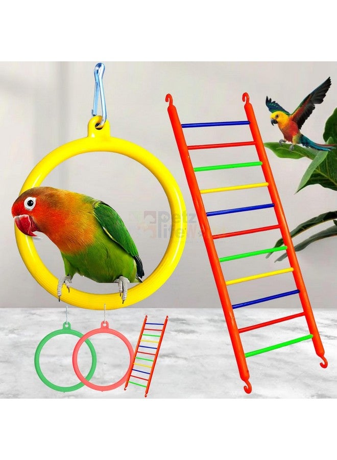 VAYINATO (3 Pcs) Bird Cage Hanging Toys, (2 Pcs Ring + 1 Pcs Ladder) Combo For Cockatiel, Love Bird, Budgie, Finches, Macaws, Conures, Sparrow | Safe And Durable By Petzlifeworld - Image 1