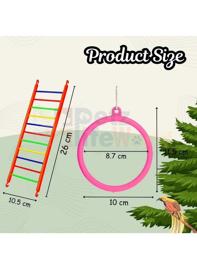 VAYINATO (3 Pcs) Bird Cage Hanging Toys, (2 Pcs Ring + 1 Pcs Ladder) Combo For Cockatiel, Love Bird, Budgie, Finches, Macaws, Conures, Sparrow | Safe And Durable By Petzlifeworld - Image 5