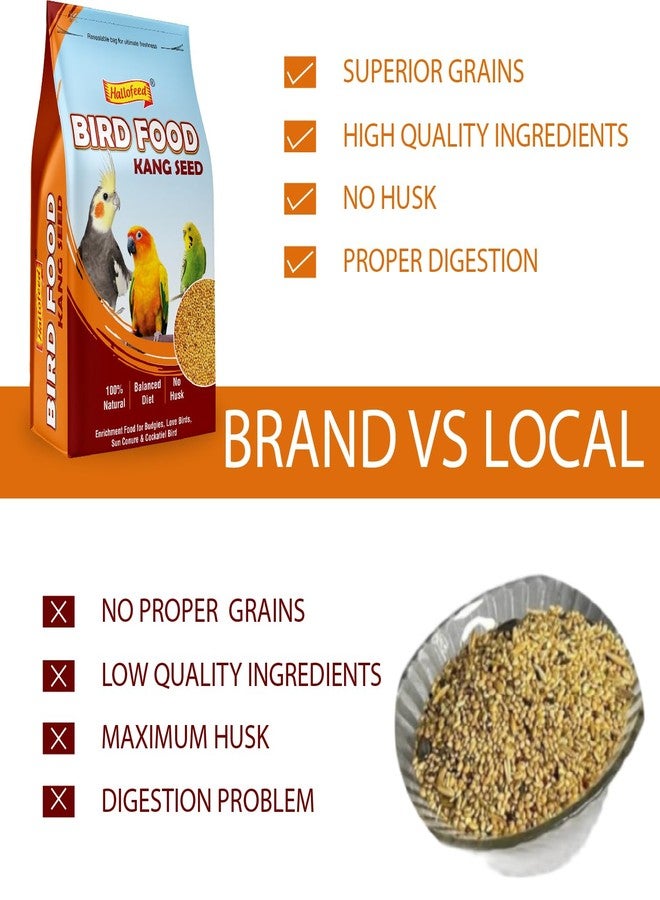 Hallofeed Bird Food Foxtail Millet (Kangni) 1 KG, Bird Food for All Life Stages Budgies, Lovebirds, Cockatiels, Parrots & Parakeets,Canary, Finches - Image 4
