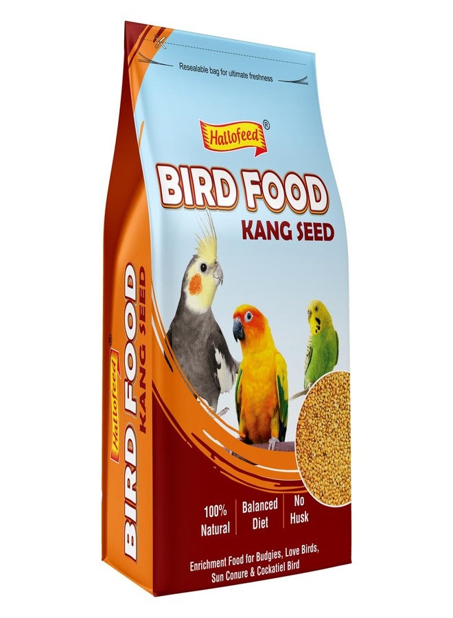 Hallofeed Bird Food Foxtail Millet (Kangni) 1 KG, Bird Food for All Life Stages Budgies, Lovebirds, Cockatiels, Parrots & Parakeets,Canary, Finches - Image 1