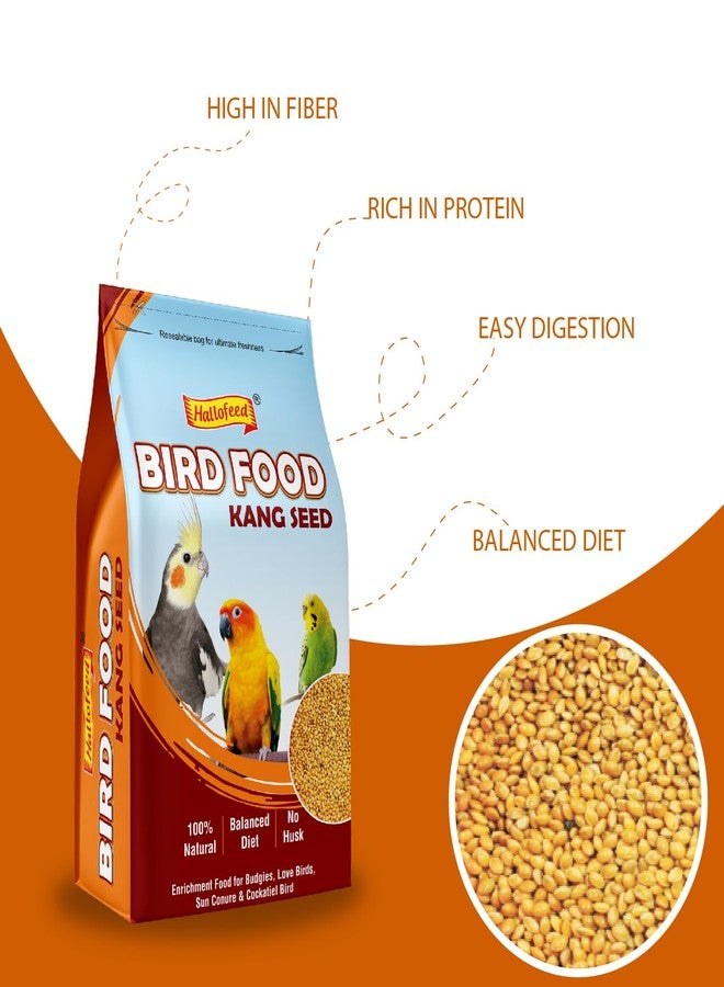 Hallofeed Bird Food Foxtail Millet (Kangni) 1 KG, Bird Food for All Life Stages Budgies, Lovebirds, Cockatiels, Parrots & Parakeets,Canary, Finches - Image 3