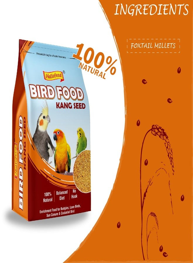 Hallofeed Bird Food Foxtail Millet (Kangni) 1 KG, Bird Food for All Life Stages Budgies, Lovebirds, Cockatiels, Parrots & Parakeets,Canary, Finches - Image 2