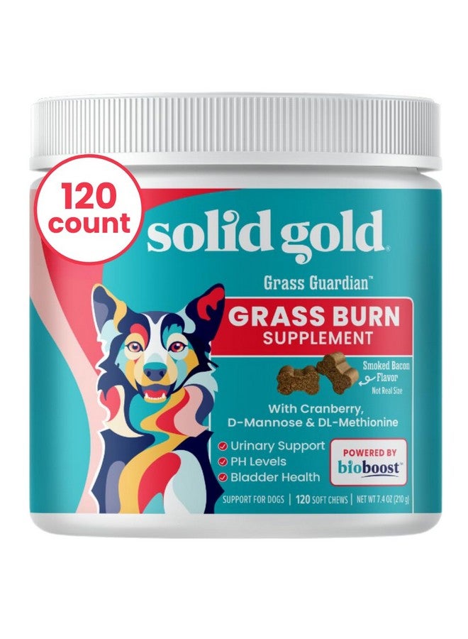 solid gold Dog Urine Neutralizer For Lawn Chews  Grass Guardian With Urinary Tract, Kidney, Bladder, And Ph Support To Reduce Grass Pee Spots & Grass Burn  120 Count - Image 1