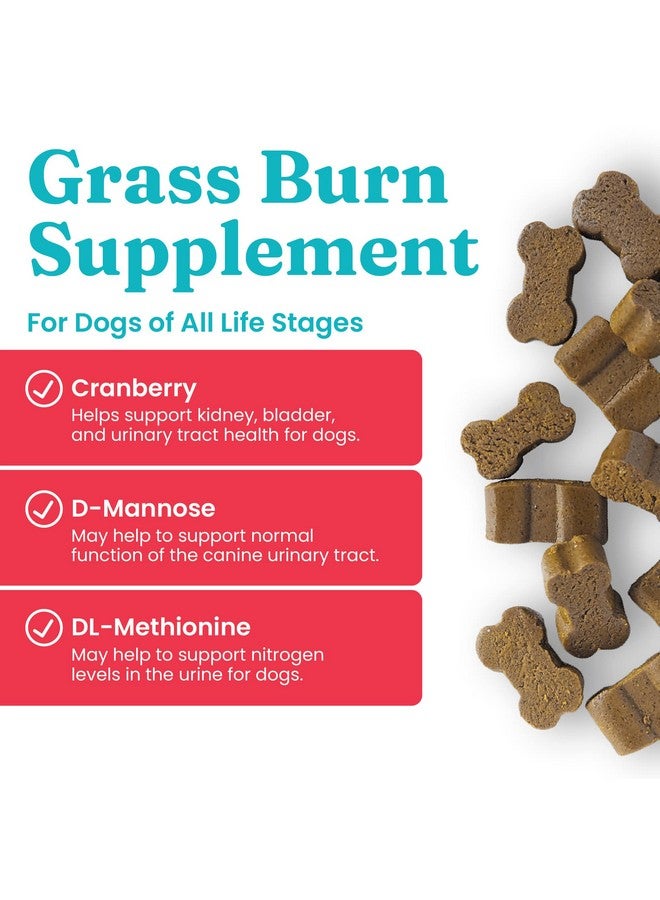 solid gold Dog Urine Neutralizer For Lawn Chews  Grass Guardian With Urinary Tract, Kidney, Bladder, And Ph Support To Reduce Grass Pee Spots & Grass Burn  120 Count - Image 2