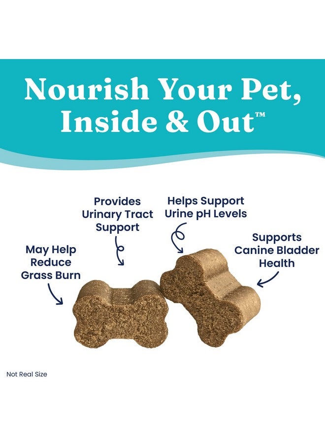 solid gold Dog Urine Neutralizer For Lawn Chews  Grass Guardian With Urinary Tract, Kidney, Bladder, And Ph Support To Reduce Grass Pee Spots & Grass Burn  120 Count - Image 3