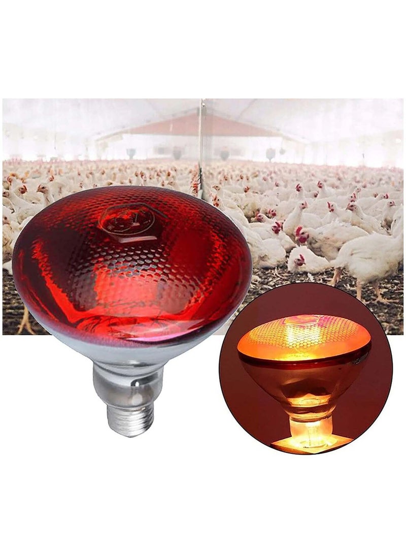 Generic 2 Pack Heat Lamp Red Infrared Bulbs Par38 100 Watts Glass Lamp Bulb for Food Service, Brooder Bulb, Chicks, Pet, Bathroom, Light Therapy Use E26 Base, Flood Light Heat Lamp Bulb  - Image 1