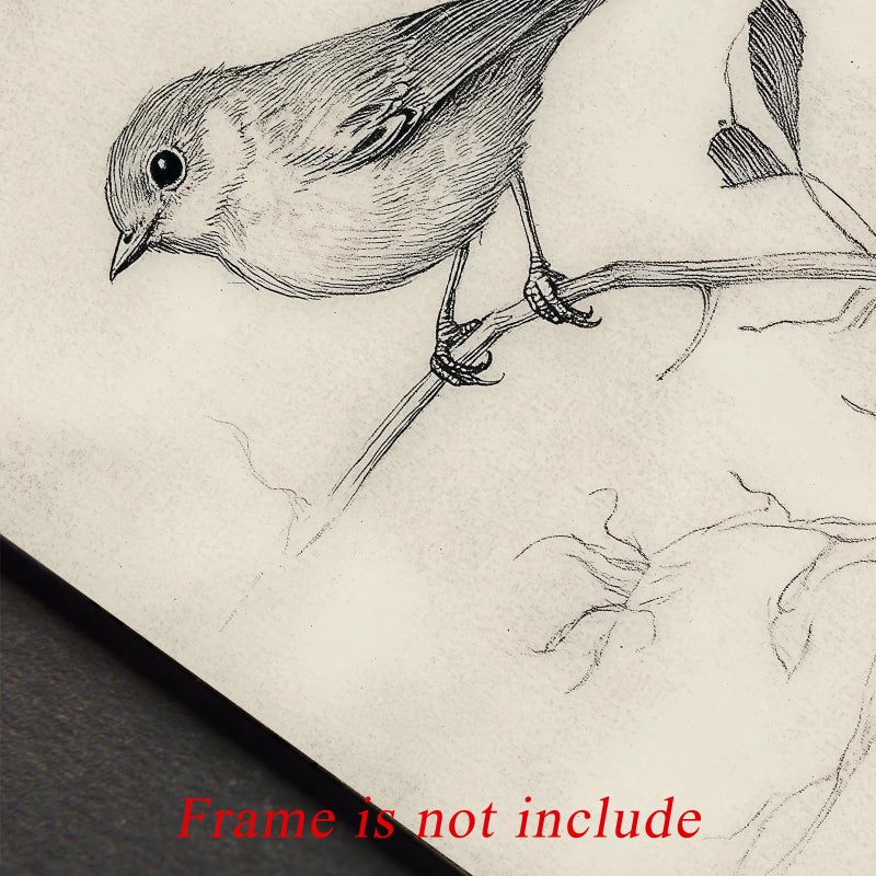 uniro Vintage Bird Sketch Wall Art Prints Farmhouse Decor Sparrow on a Branch Sketch Canvas Oil Painting Antique Bird Neutral Vintage Artwork Pictures for Bedroom Living Room Decor (8" x 10"-UNFRAMED) - Image 5