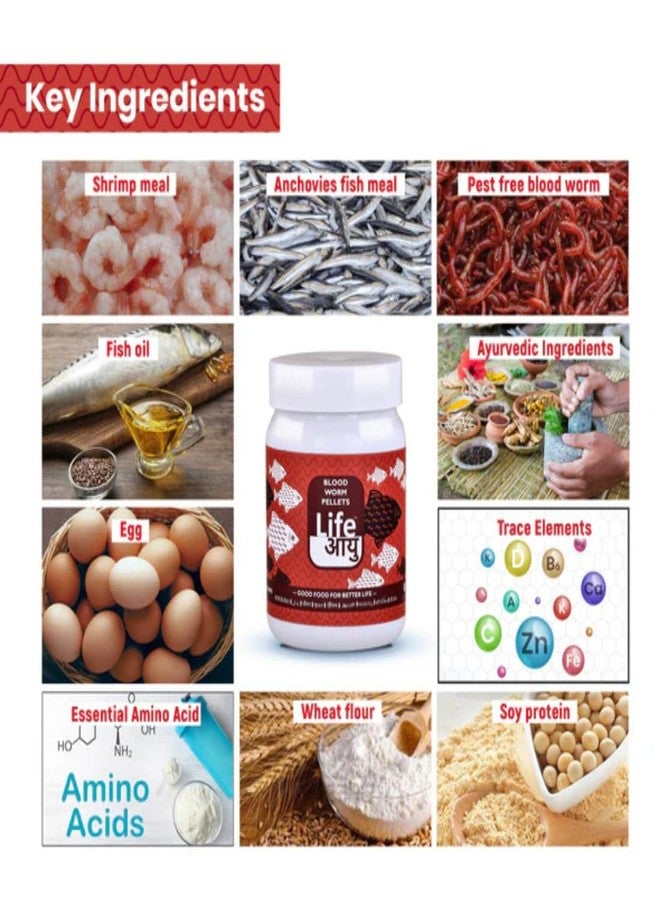 Life aayu Gold Fish Food Medium 100 gm + Life Aayu Blood Worm Pellets 45 g + Sunken Garden Salt 15 gm Free - Image 2
