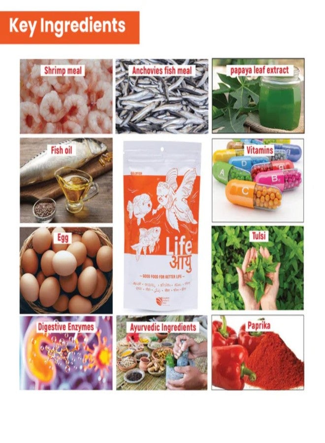 Life aayu Gold Fish Food Medium 100 gm + Life Aayu Blood Worm Pellets 45 g + Sunken Garden Salt 15 gm Free - Image 3