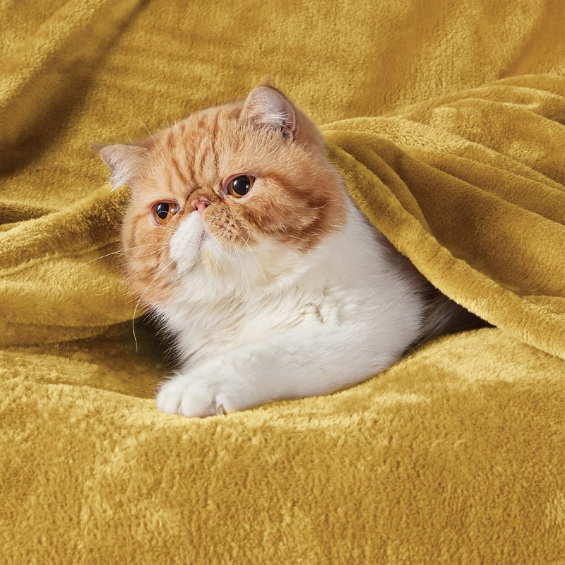 Bedsure GentleSoft Fleece Blankets King Size Gold Yellow - Bed Blanket Soft Lightweight Plush Cozy Fuzzy Luxury Microfiber, 108x90 inches - Image 2