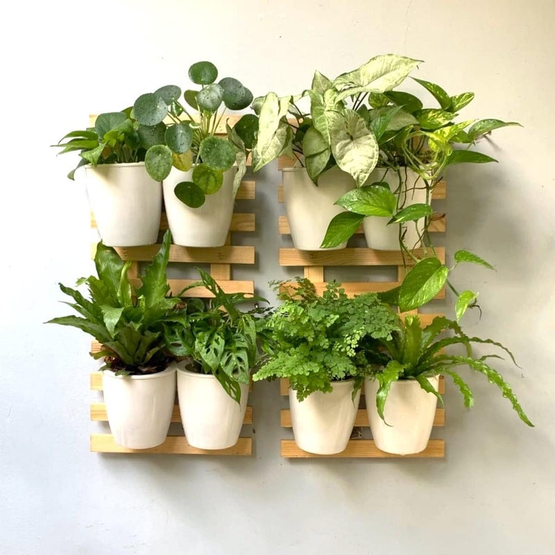 ShopLaLa Wooden Wall Planter - 2 Pack Wall Hanging Planters for Indoor Plants Ladder Wall Mount Natural Wood Holder Flower Pots Vertical Living Balcony Unique Large Green Plant Decor 23.6" (60cm) - Image 4