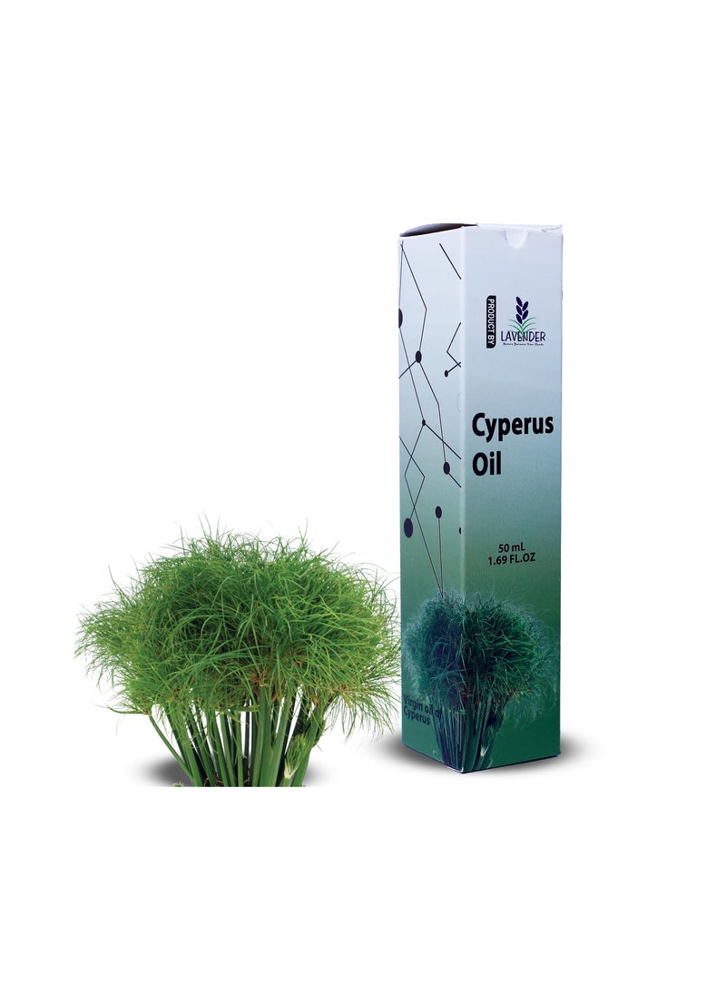 Pure Cyperus Essencial oil 50 mL - pzsku/Z89337F3E2D7AAB74218BZ/45/_/1660661174/803a9a45-b2fc-499f-9b07-680621851cdb