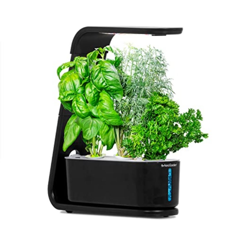 Sprout With Gourmet Herbs Seed Pod Kit - Hydroponic Indoor Garden For Home Kitchen Use Black 3 PCS Pods Easy Setup Maintenance - Image 1
