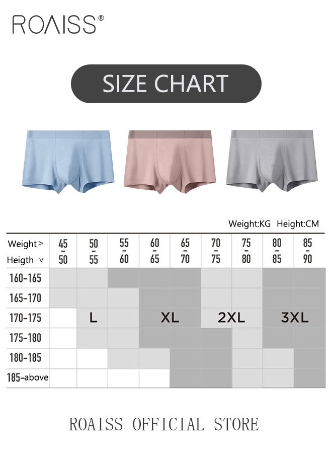 Men Boxers 3 Pack Set Trend Men Teenage Boys Underwear Short Briefs High Elastic Classic Underwear - pzsku/Z8936FA58EC90612463FDZ/45/_/1721465779/a11eb575-8a36-4f03-90da-13251de48b24