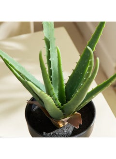 Home Box Liara Aloe Vera Potted Plant in Pot - 35 cm  - Image 3