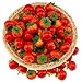 Gresorth 40pcs Mini Artificial Tomato Decoration Fake Fruit Home Party Christmas DIY Material - 3.5 cm - Image 2