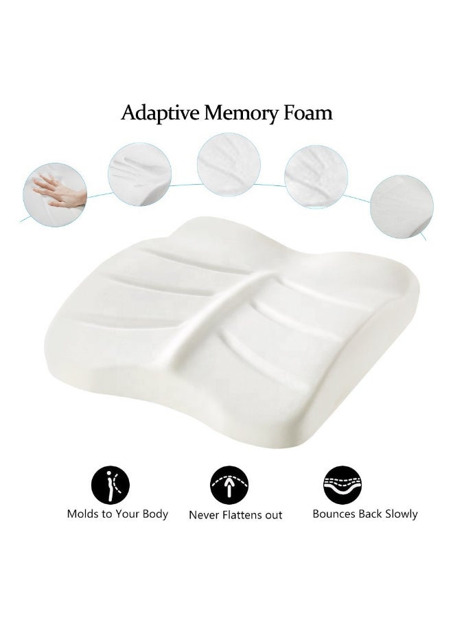 تانجبلب 2 في 1مسند الظهر اوتعديلها كوسادة مقعد مريحة عالية الجودة من إسفنج الذاكرة لدعم أسفل الظهر للقراءة في السيارة والراحة في السرير توفر الراحة - Image 5