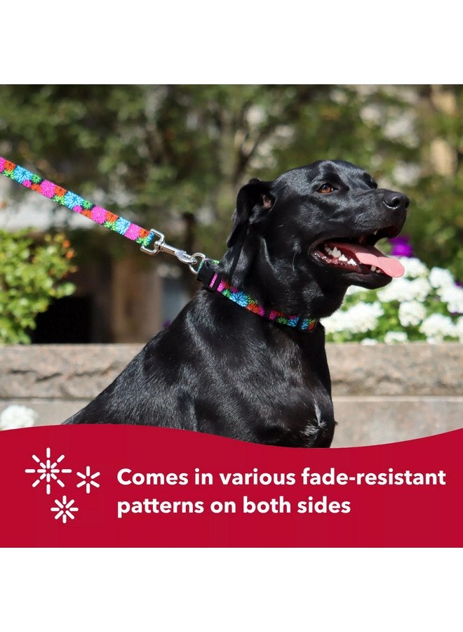 Coastal Pet Styles Adjustable Dog Collar - Stylish Patterned Fabrics - Snap-Lock Buckle - Adjustable Dog Collar - for Small, Medium or Large Dogs - Black Skulls - 3/8" x 08"-12" - Image 5