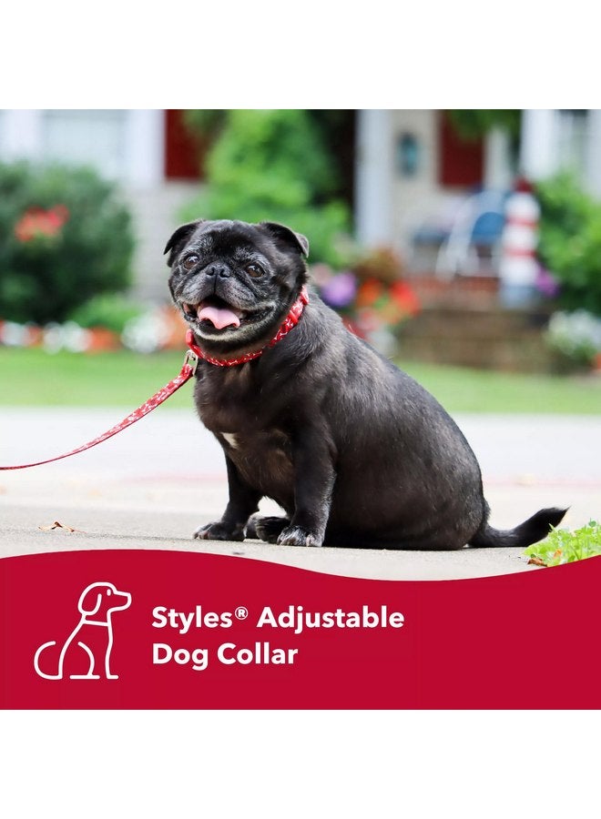 Coastal Pet Styles Adjustable Dog Collar - Stylish Patterned Fabrics - Snap-Lock Buckle - Adjustable Dog Collar - for Small, Medium or Large Dogs - Black Skulls - 3/8" x 08"-12" - Image 3