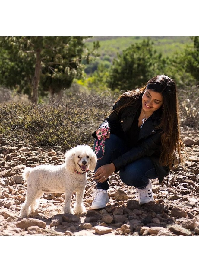 Coastal Pet Styles Adjustable Dog Collar - Stylish Patterned Fabrics - Snap-Lock Buckle - Adjustable Dog Collar - for Small, Medium or Large Dogs - Black Skulls - 3/8" x 08"-12" - Image 2