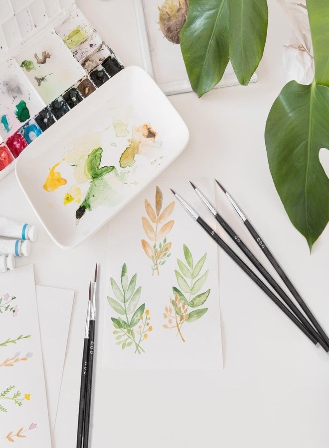 Anezus 60Pcs Thin Detail Paint Brushes Fine Tip Paint Brushes Set with 3 Size #000#00#0 Liner brush for Miniature 40k Model Crafts Watercolor Acrylics Oil - Image 5