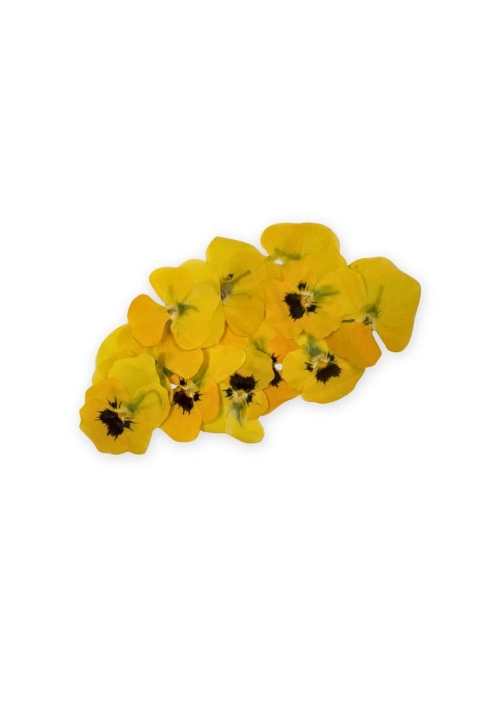 Viola Yellow Edible Flower - 25 Pcs