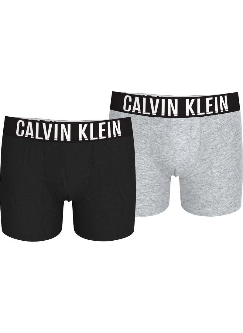 Calvin Klein Jeans Kids 2 Pack Logo Band Boxer Briefs