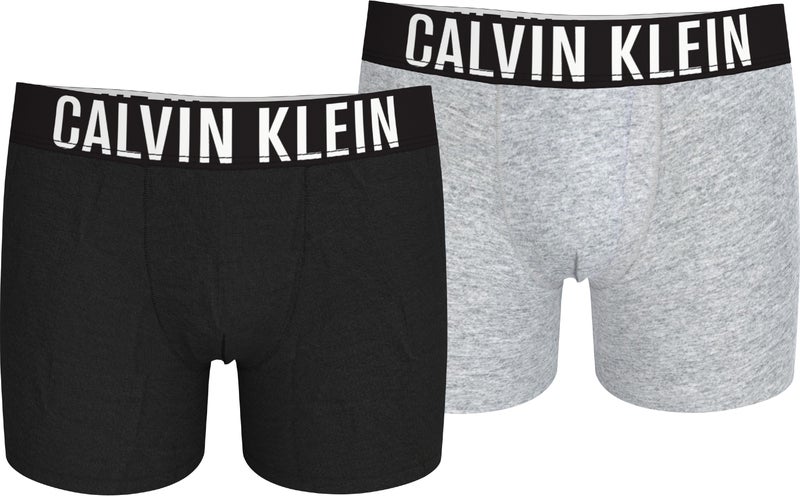 Calvin Klein Jeans Kids 2 Pack Logo Band Boxer Briefs 