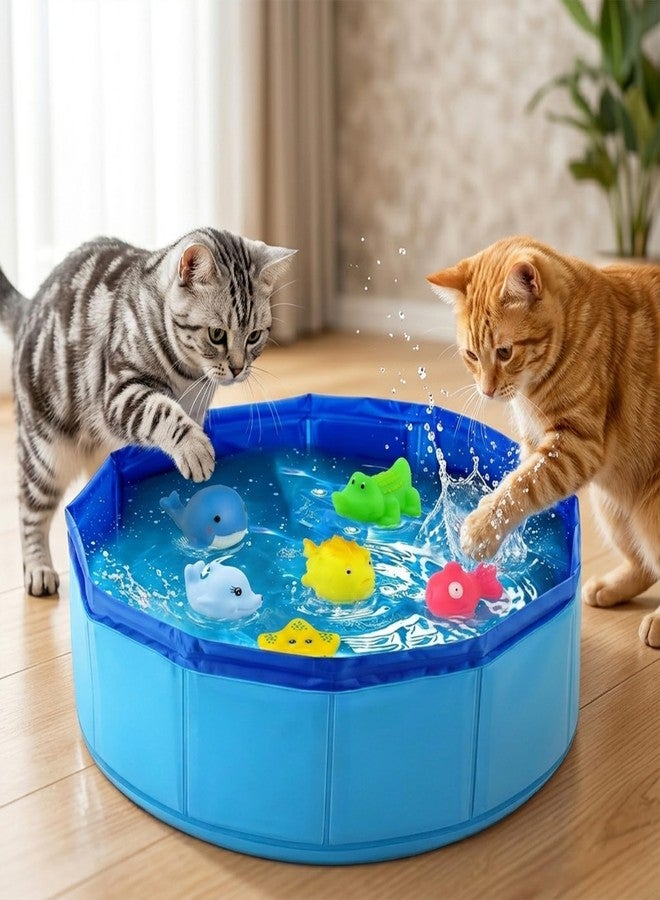 DYFCNP Cat Pool Toy with Fish-Water Cat Toys, Portable Cat Pool Toy for Indoor Cats & Outdoor Play, Perfect for Bored Kittens & Adult Cats, Summer Cooling & Enrichment (A) - Image 2