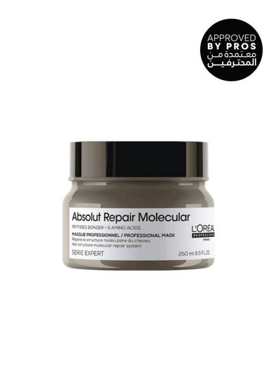 L'Oréal Professionnel Absolut Repair Molecular Mask for Very Damaged Hair 250ml