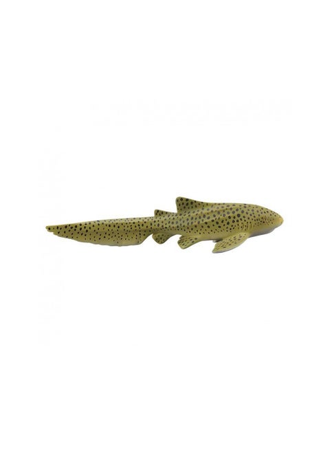 ZEBRA SHARK