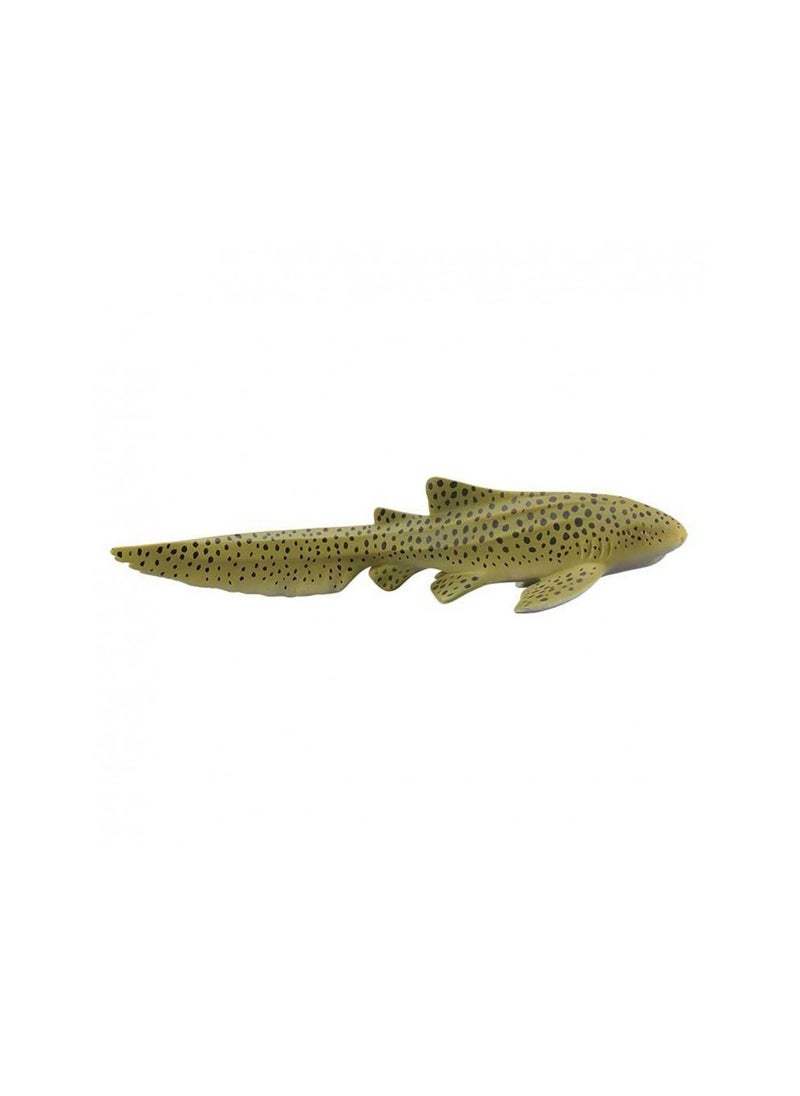 ZEBRA SHARK