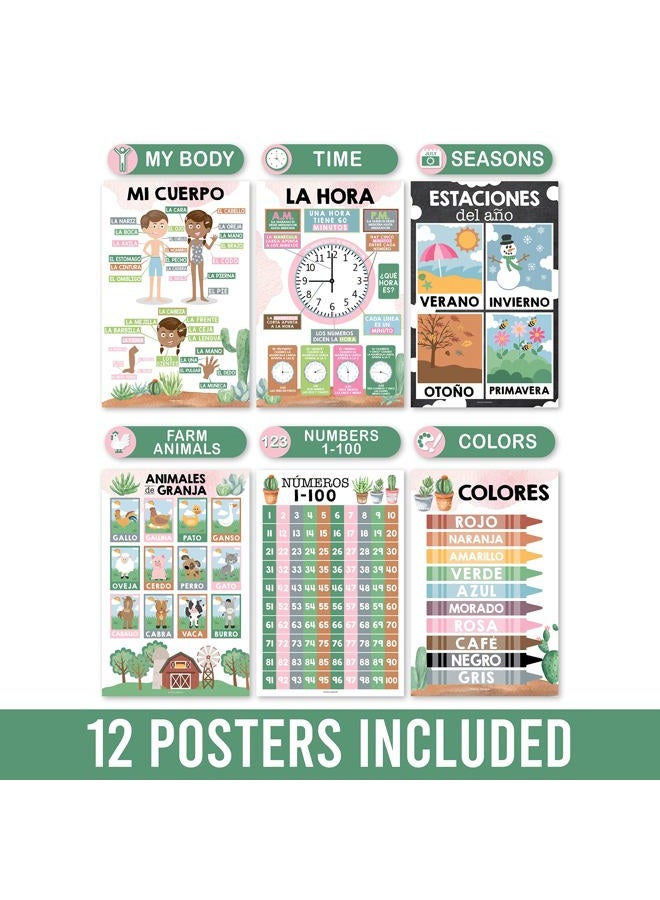 Hadley Designs Spanish Classroom Decorations - 12 Spanish Posters for Classroom Elementary, Abecedario para Niños en Español, Laminated Cactus Bilingual Educational Posters 11x17 - Image 4