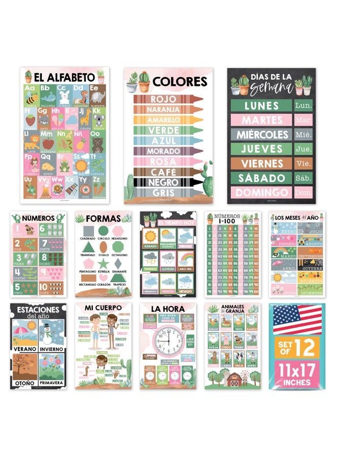 Hadley Designs Spanish Classroom Decorations - 12 Spanish Posters for Classroom Elementary, Abecedario para Niños en Español, Laminated Cactus Bilingual Educational Posters 11x17 - Image 1