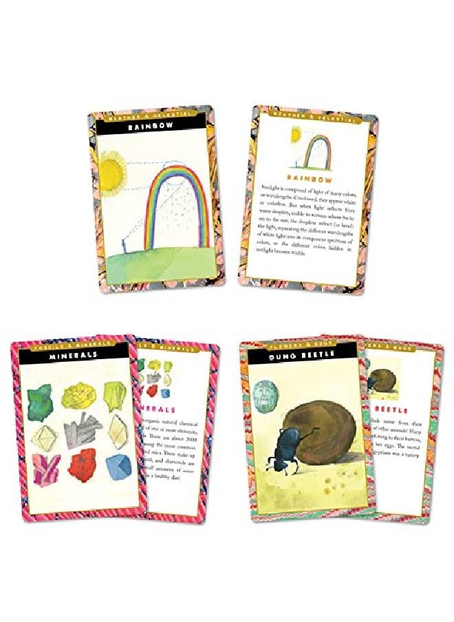 eeboo Natural And Earth Science Educational Flash Card  - Image 5