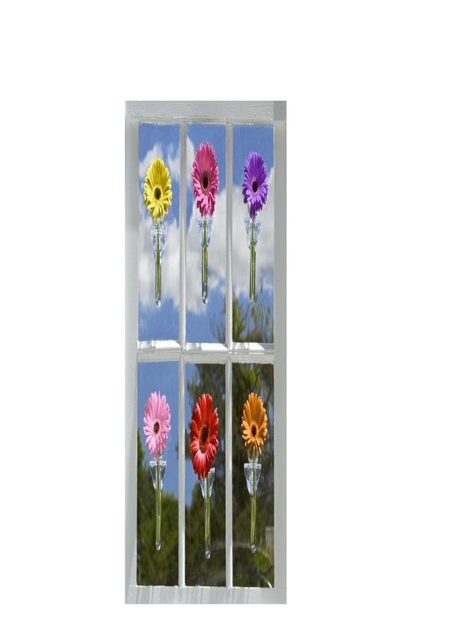 توز كومباني زهرة جدارية، مزهرية براعم معلقة - Image 2