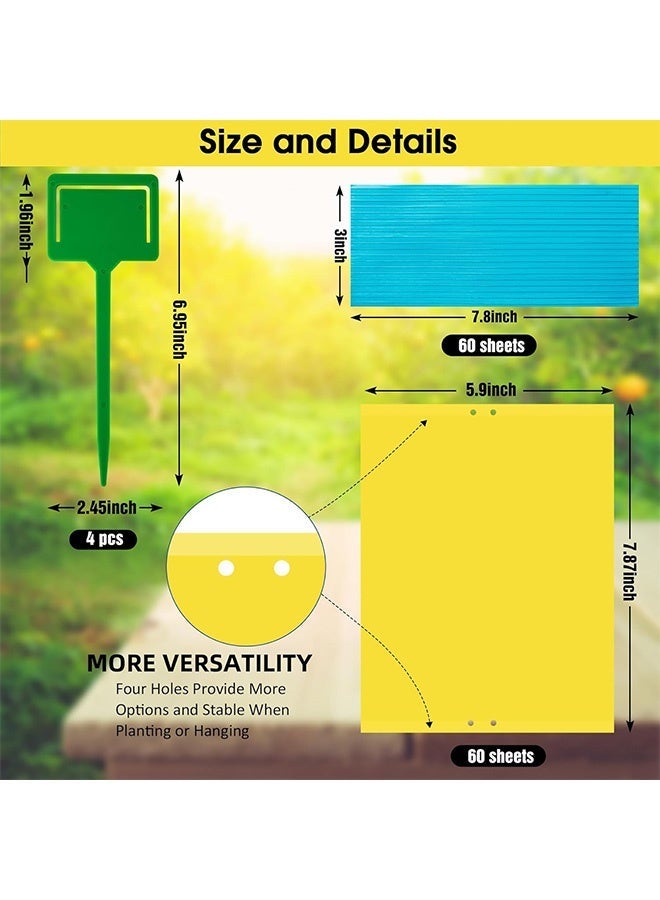 Quantum 10 PCS Sticky Fly Trap, Double Sided Yellow Sticky Traps Fruit Fly Trap, Insects Trap Pest Killer for Outdoor Indoor - Image 2