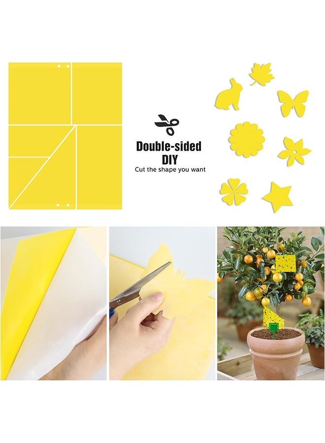 Quantum 10 PCS Sticky Fly Trap, Double Sided Yellow Sticky Traps Fruit Fly Trap, Insects Trap Pest Killer for Outdoor Indoor - Image 3