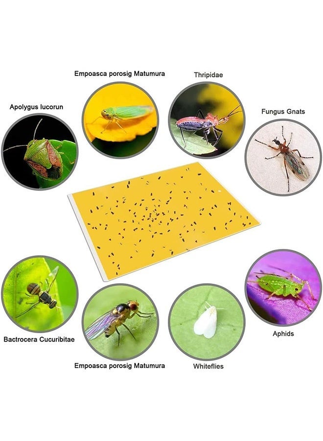 Quantum 10 PCS Sticky Fly Trap, Double Sided Yellow Sticky Traps Fruit Fly Trap, Insects Trap Pest Killer for Outdoor Indoor - Image 4