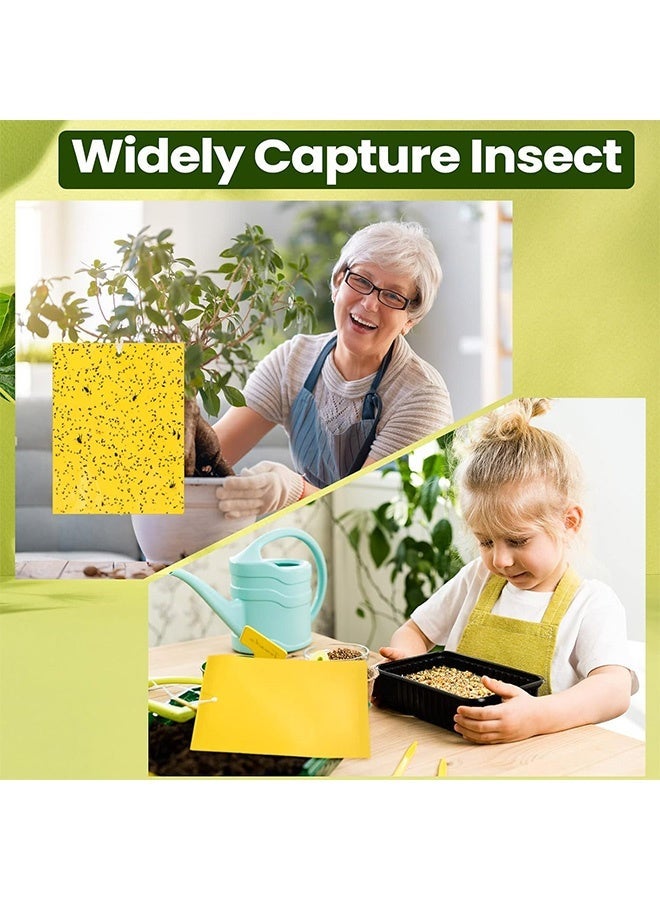 Quantum 10 PCS Sticky Fly Trap, Double Sided Yellow Sticky Traps Fruit Fly Trap, Insects Trap Pest Killer for Outdoor Indoor - Image 5