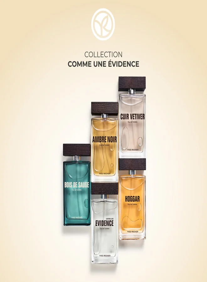 Yves Rocher Ambre Noir Eau de Toilette For Men 100ml