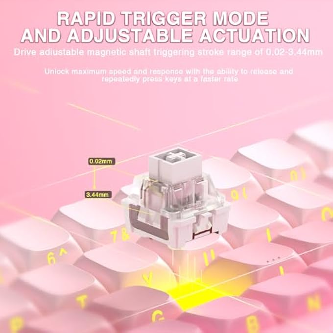 rayihni WIN60 HE MECHANICAL GAMING KEYBOARD WIRED,HALL EFFECT MAGNETIC SWITCHES,ADJUSTABLE ACTUATION RAPID TRIGGER,8K POLLING RATE,RGB BACKLIGHT,SIDE PRINTED,60% PERCENT KEYBOARD FOR MAC/WIN (PINK) - Image 3