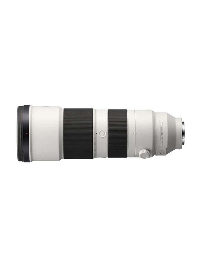 سوني عدسة FE مقاس 200-600 مم ببعد بؤري F5.6-6.3 G بتقنية OSS أسود/ فضي - Image 3