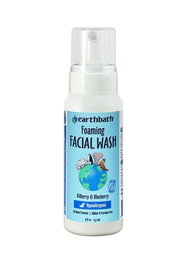 ايرث باث Foaming Facial Wash - Image 1