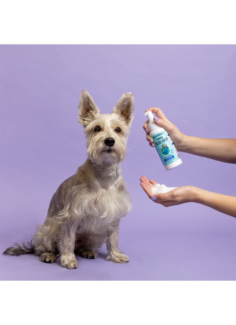 ايرث باث Foaming Facial Wash - Image 3