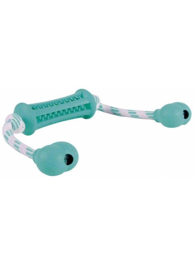 TRIXIE Denta Fun Stick with Rope, 9 cm/37 cm