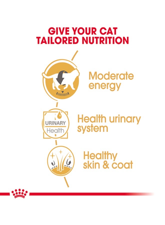 ROYAL CANIN Feline Breed Nutrition British Shorthair (Wet Food - Pouches) 12 x 85 g - Image 2